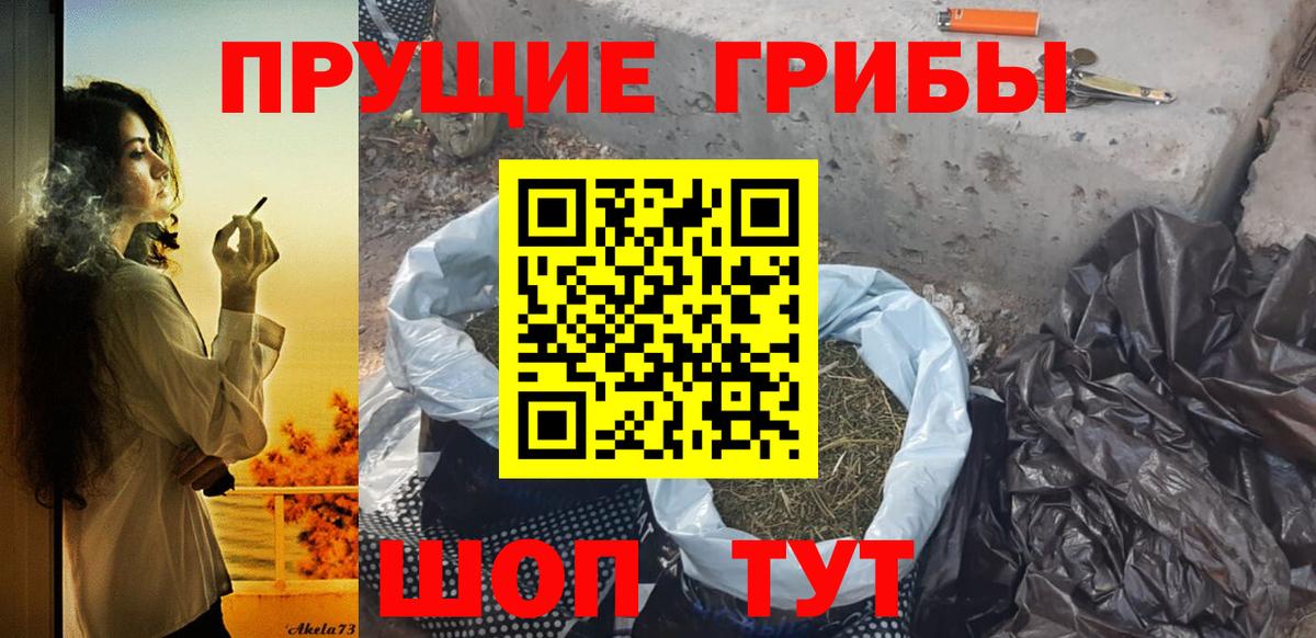 где купить наркоту  Псилоцибиновые грибы ЛСД  Вход с VPN  Батайск  Псилоцибиновые грибы GOLDEN TEACHER 